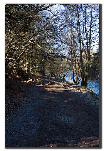 Footpath by stream.jpg